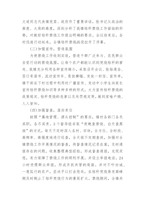 乡镇秸秆禁烧工作总结.docx