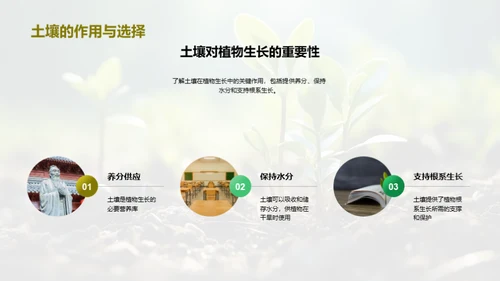 探索植物生长