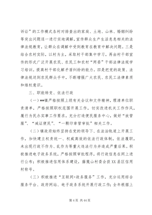 乡镇某年依法行政工作总结六篇.docx