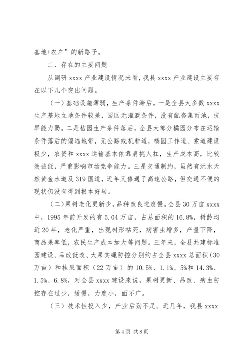 产业建设调研报告精编.docx