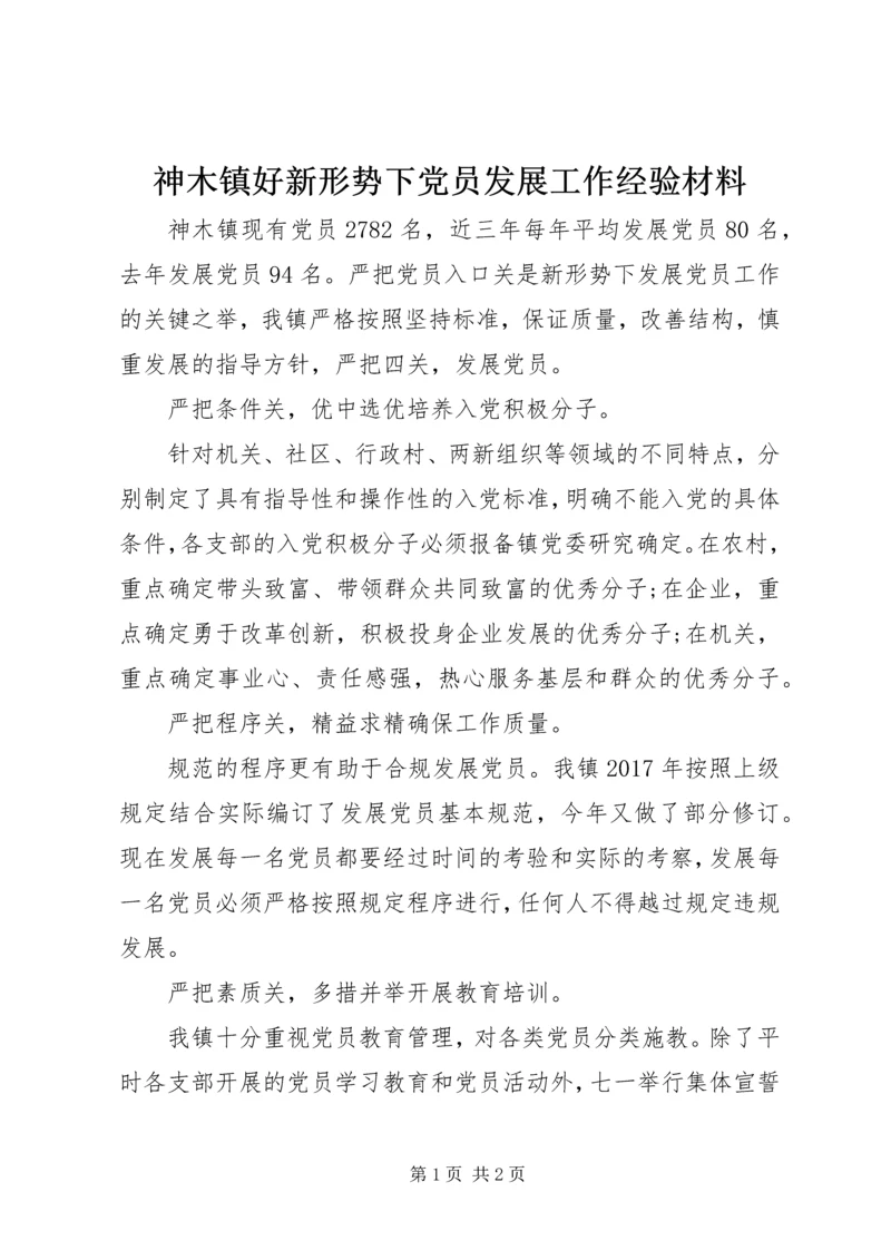 神木镇好新形势下党员发展工作经验材料.docx