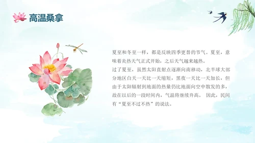 蓝绿色水墨国风夏至二十四节气知识科普PPT