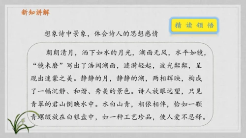 17课《古诗三首》《望天门山》《饮湖上初晴后雨》   课件