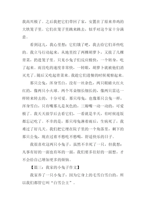 我家的小兔子作文.docx