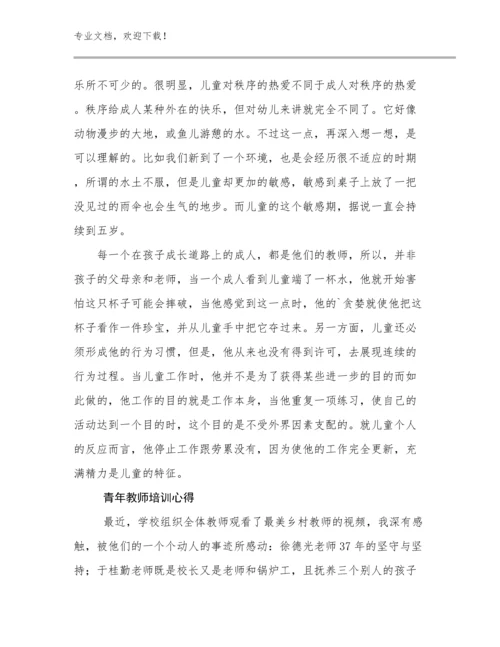 最新青年教师培训心得例文24篇文档汇编.docx