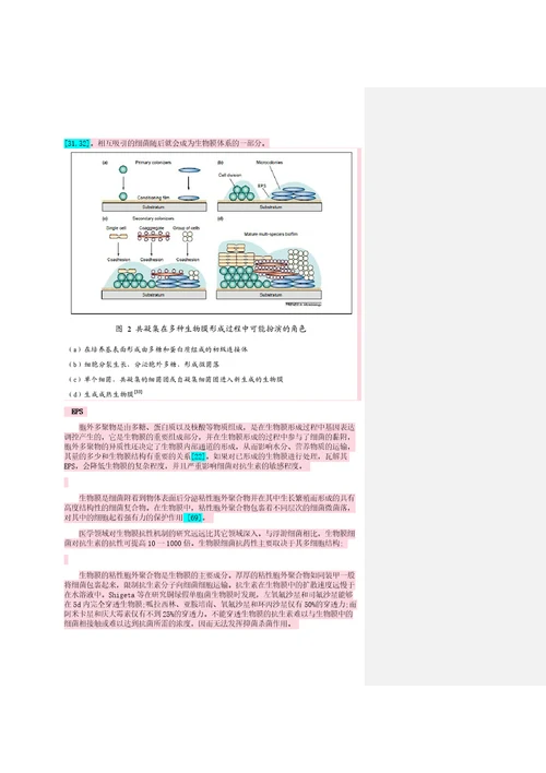 新简约论文修改