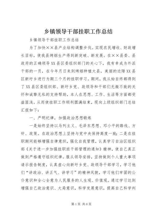 乡镇领导干部挂职工作总结.docx