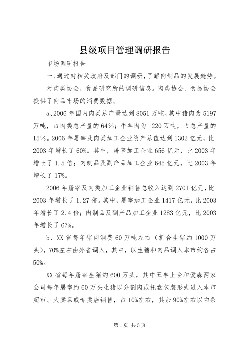 县级项目管理调研报告 (5).docx