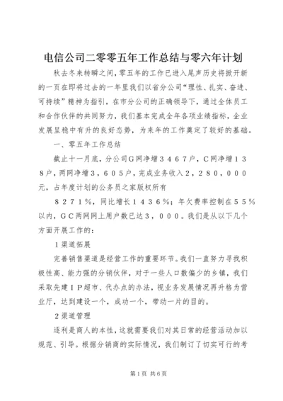 电信公司二零零五年工作总结与零六年计划.docx