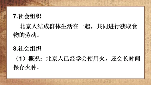 初中历史《人类起源》教学通用PPT课件