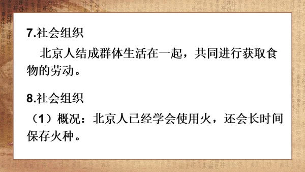 初中历史《人类起源》教学通用PPT课件