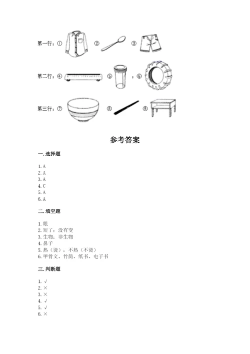 教科版二年级上册科学期末测试卷含解析答案.docx