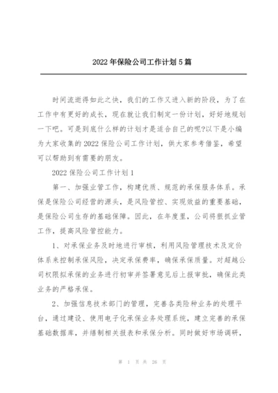 2022年保险公司工作计划5篇.docx