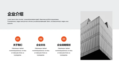单色扁平3项企业介绍