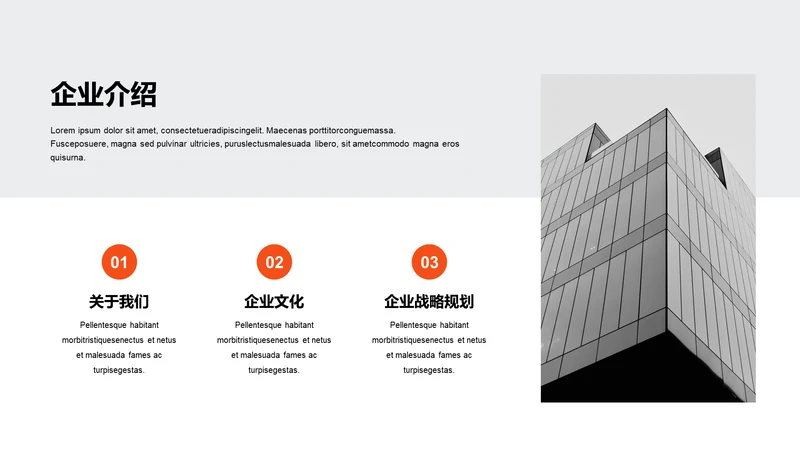 单色扁平3项企业介绍