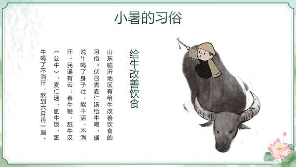绿色清新中国风二十四节气之小暑带内容PPT模板