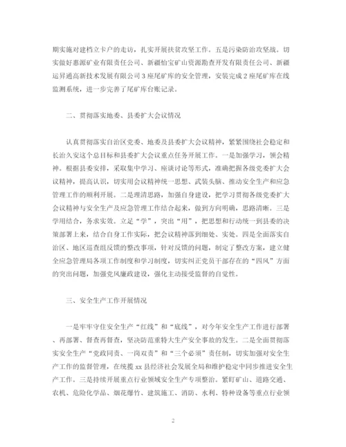 精编之经典范文县应急管理局年工作总结及年工作计划.docx