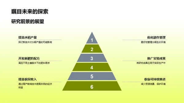 水稻高产新纪元