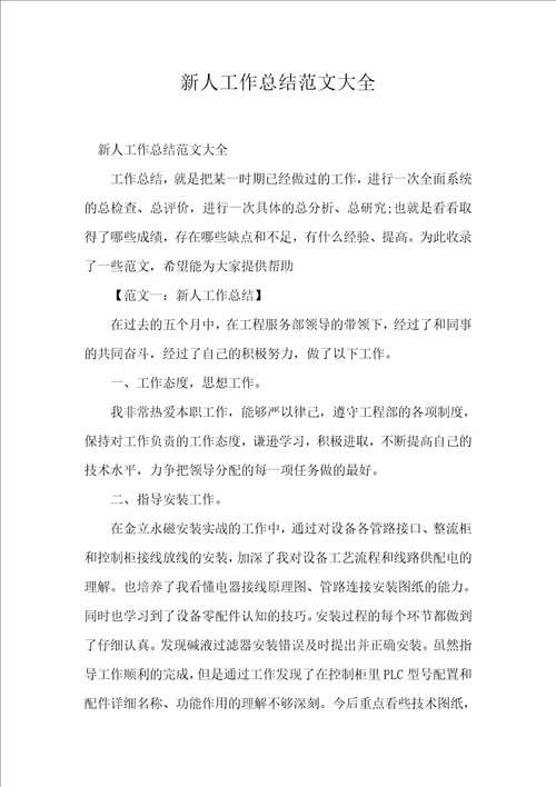新人工作总结范文大全