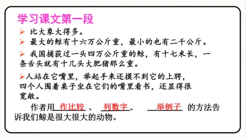 统编版语文五年级上册第五单元 习作例文《鲸》《风向袋的制作》 课件