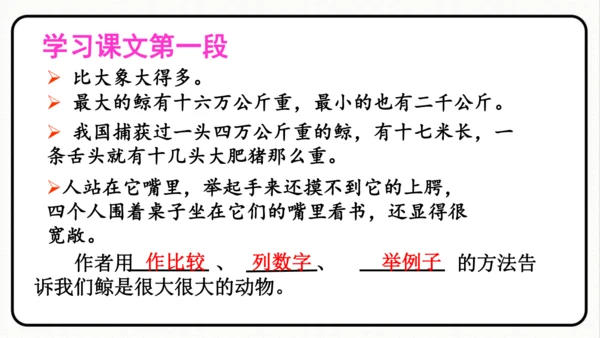 统编版语文五年级上册第五单元 习作例文《鲸》《风向袋的制作》 课件