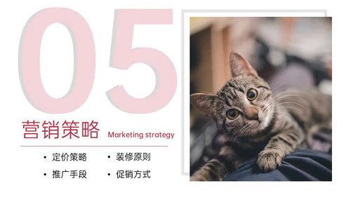猫舍咖啡馆创业融资商业计划书通用PPT模板
