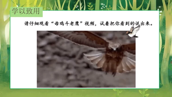 16 麻雀   课件
