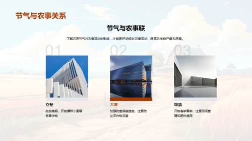 寒露农事指南