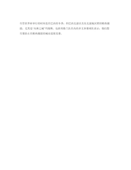 精编世界杯安保工作参考计划范文.docx