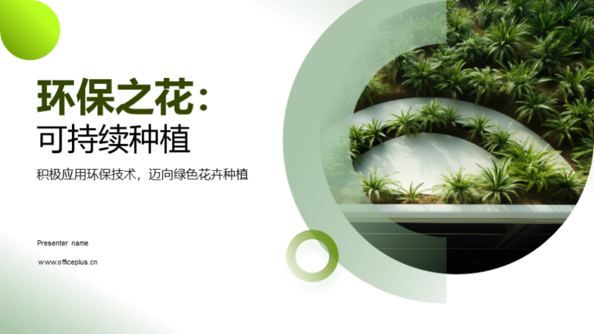 环保之花:可持续种植