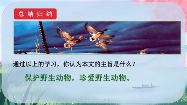 19《大雁归来》课件