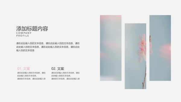 粉色椰风商业计划PPT模板