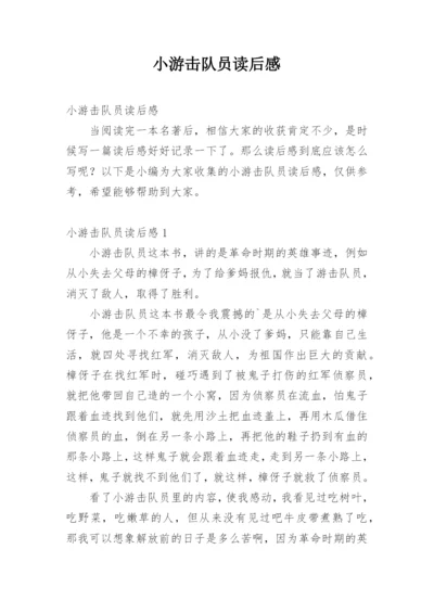 小游击队员读后感.docx