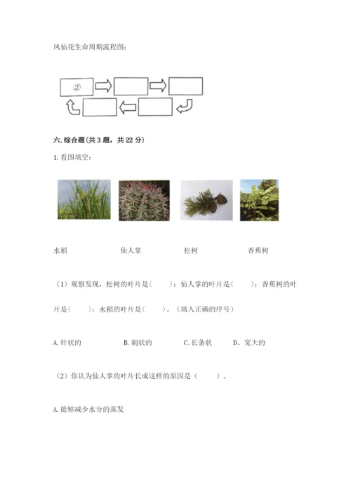 科学四年级下册第一单元《植物的生长变化》测试卷（有一套）.docx
