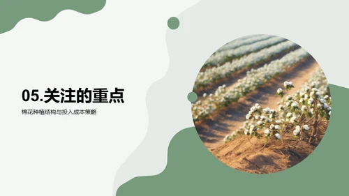 棉花种植：增收新策略