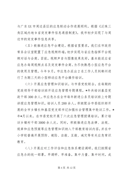 市应急管理办公室工作总结与计划.docx