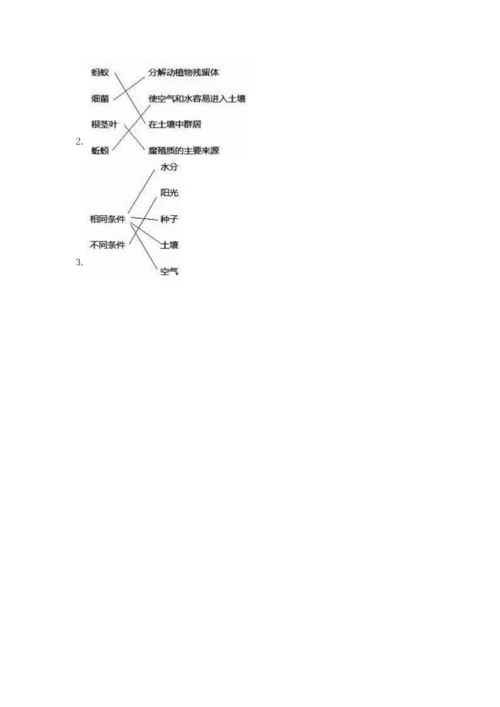 教科版五年级下册科学第一单元《生物与环境》测试卷带答案（达标题）.docx