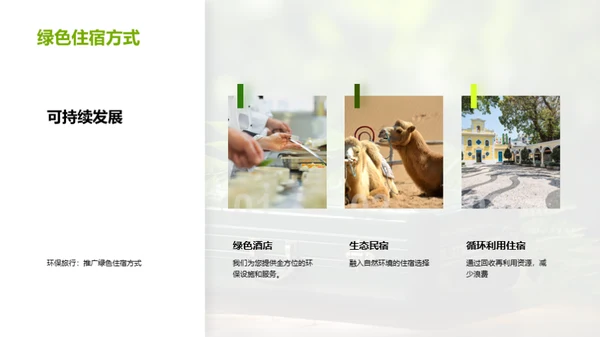 绿色旅游新篇章
