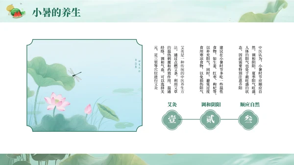 绿色简约清新小暑课件通用PPT模板