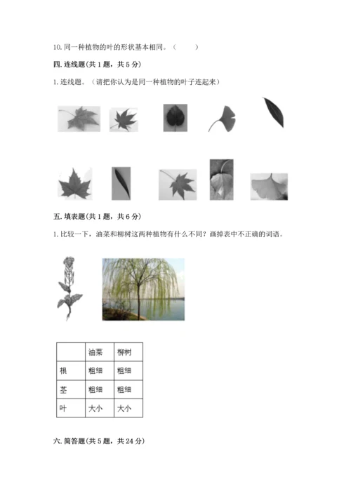 教科版一年级上册科学期末测试卷【满分必刷】.docx