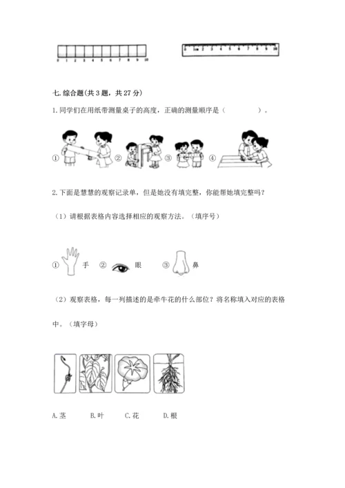 教科版一年级上册科学期末测试卷及答案参考.docx