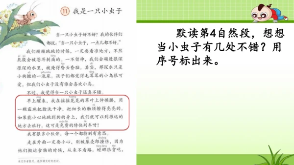 《11.我是一只小虫子》第一课时 课件