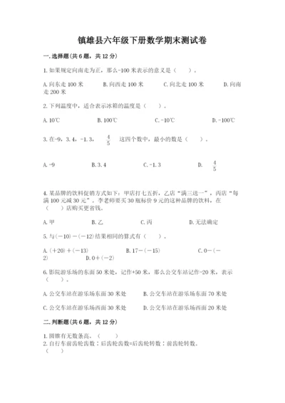 镇雄县六年级下册数学期末测试卷标准卷.docx