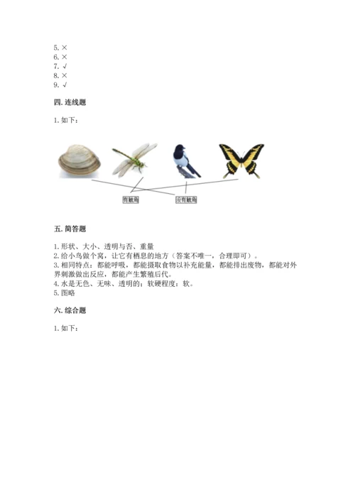 教科版一年级下册科学期末测试卷含完整答案（全国通用）.docx