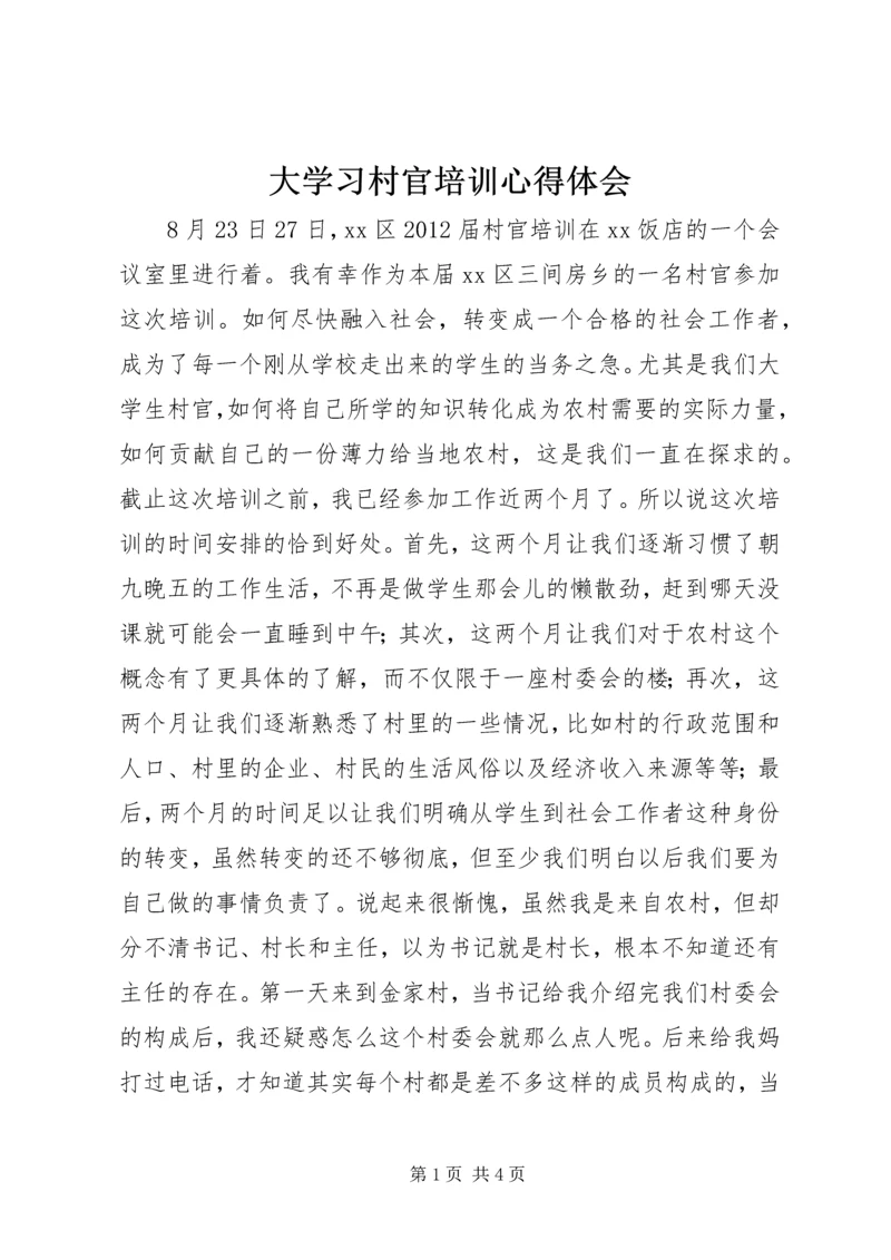 大学习村官培训心得体会.docx