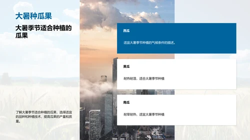 大暑季节的农业指南