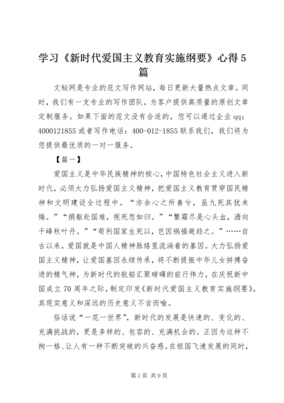 学习《新时代爱国主义教育实施纲要》心得5篇.docx