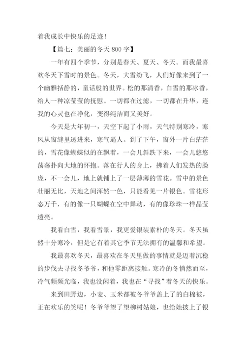 美丽的冬天作文.docx