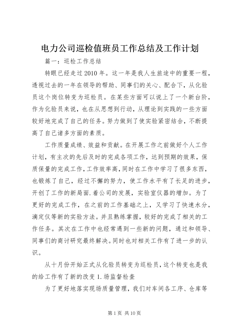 电力公司巡检值班员工作总结及工作计划 (5).docx