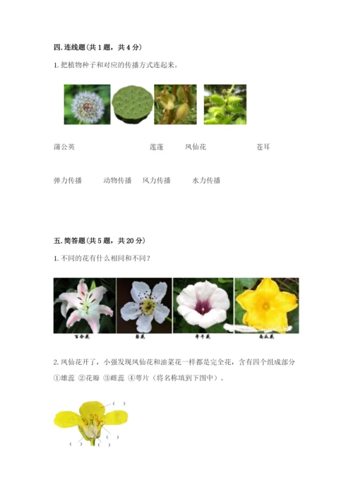 科学四年级下册第一单元《植物的生长变化》测试卷推荐.docx